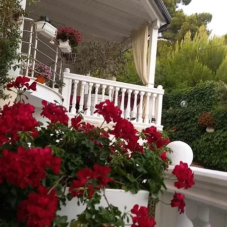 Отель Gezimi 5*